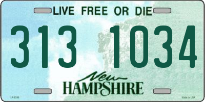 NH license plate 3131034
