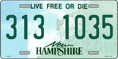 NH license plate 3131035