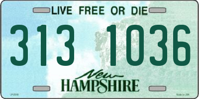 NH license plate 3131036