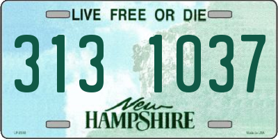 NH license plate 3131037