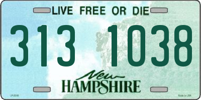 NH license plate 3131038