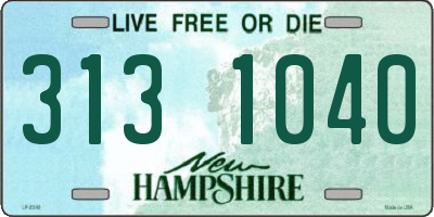 NH license plate 3131040