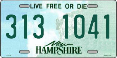 NH license plate 3131041