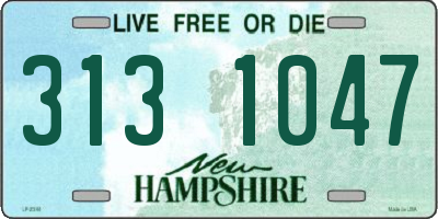 NH license plate 3131047