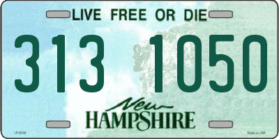 NH license plate 3131050