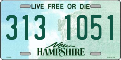 NH license plate 3131051