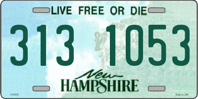NH license plate 3131053