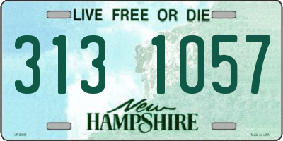 NH license plate 3131057