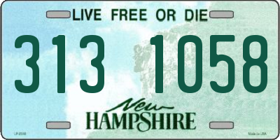 NH license plate 3131058