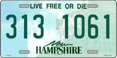 NH license plate 3131061