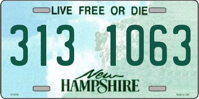 NH license plate 3131063