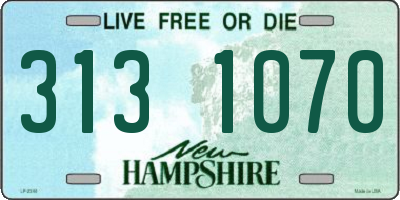 NH license plate 3131070