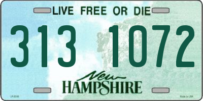 NH license plate 3131072