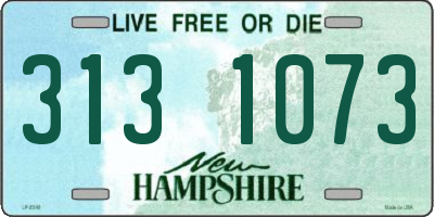 NH license plate 3131073