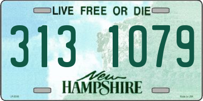 NH license plate 3131079