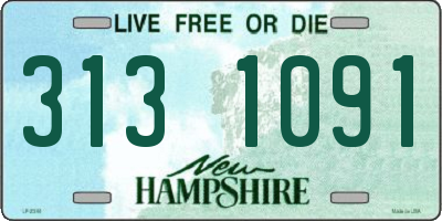 NH license plate 3131091