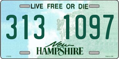 NH license plate 3131097