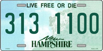 NH license plate 3131100