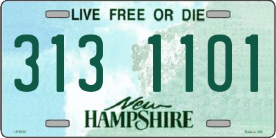 NH license plate 3131101