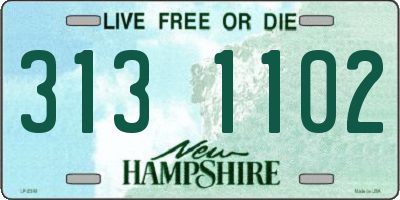 NH license plate 3131102