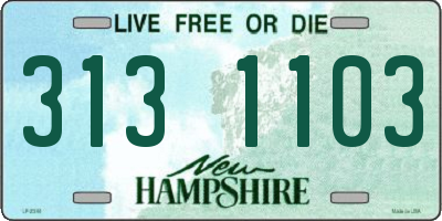 NH license plate 3131103