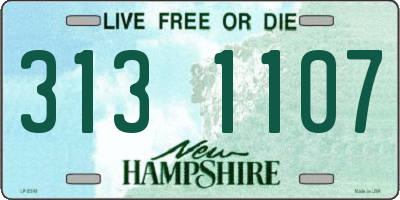 NH license plate 3131107