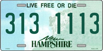 NH license plate 3131113