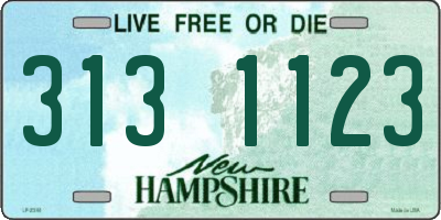 NH license plate 3131123