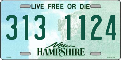 NH license plate 3131124
