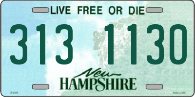 NH license plate 3131130