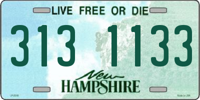 NH license plate 3131133