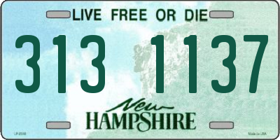 NH license plate 3131137