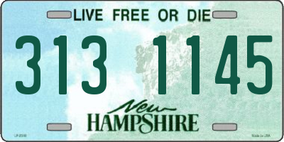 NH license plate 3131145