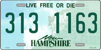 NH license plate 3131163