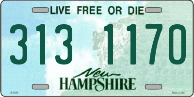 NH license plate 3131170