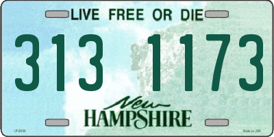 NH license plate 3131173