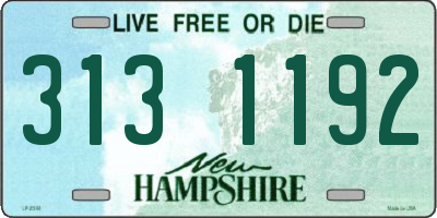 NH license plate 3131192