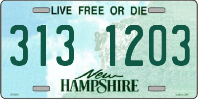 NH license plate 3131203