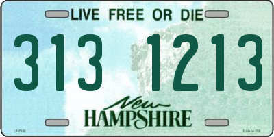 NH license plate 3131213