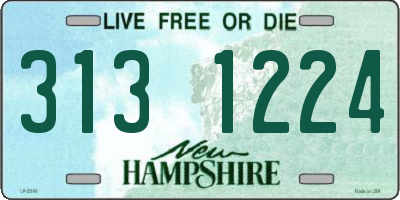 NH license plate 3131224