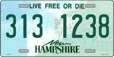 NH license plate 3131238