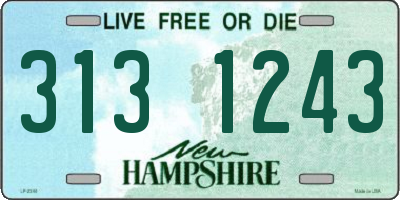 NH license plate 3131243