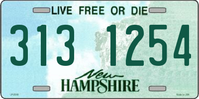 NH license plate 3131254