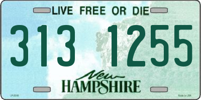 NH license plate 3131255