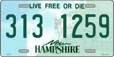 NH license plate 3131259