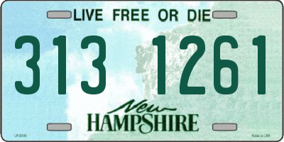 NH license plate 3131261