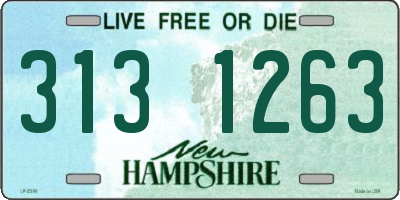 NH license plate 3131263