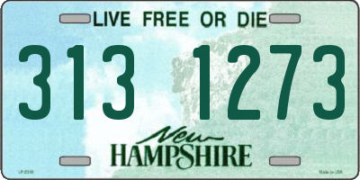 NH license plate 3131273