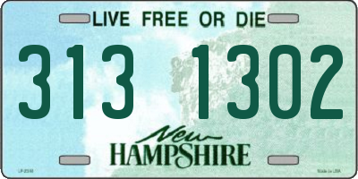 NH license plate 3131302