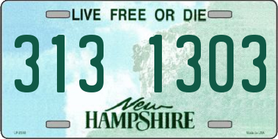 NH license plate 3131303